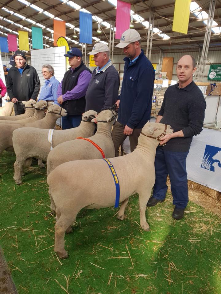 First Place, Sheepvention 2018