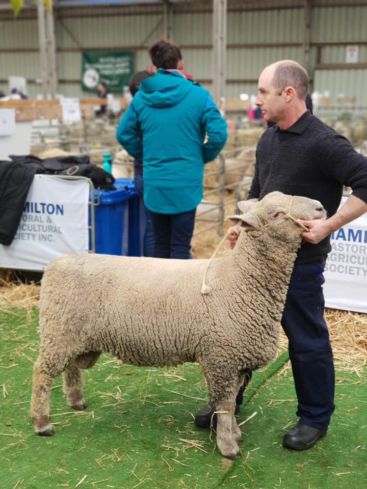 First Place, Sheepvention 2018