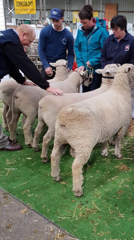 First Place, Sheepvention 2018